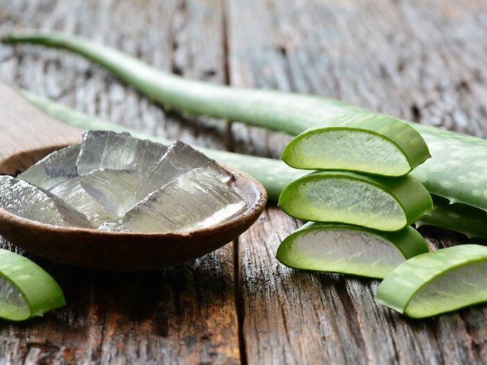 Article Aloes legereté et fraîcheur Ayurvéda Révolution