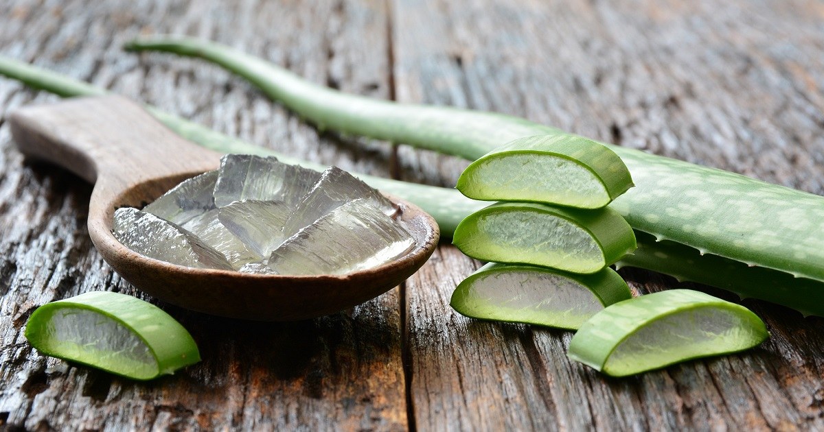 Article Aloes legereté et fraîcheur Ayurvéda Révolution
