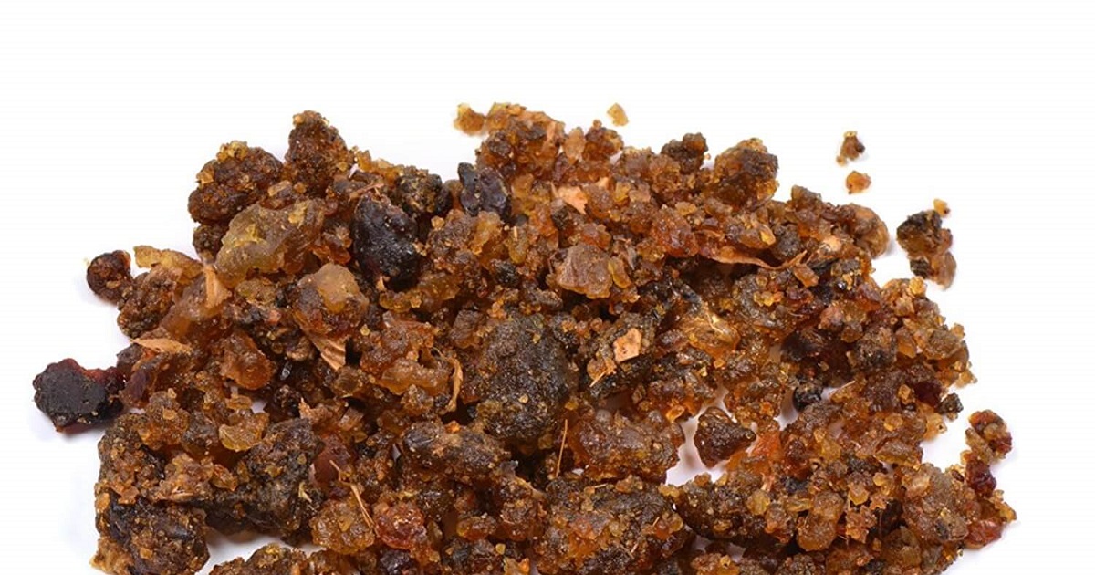Article Guggul, la myrrhe indienne Ayurvéda Révolution
