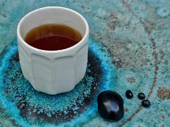 Article Shilajit, le nectar des pierres Ayurvéda Révolution