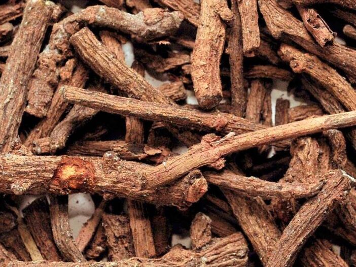 Article Manjishta, bouger la lymphe et purifier le sang Ayurvéda Révolution