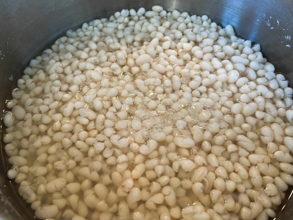 1.haricots