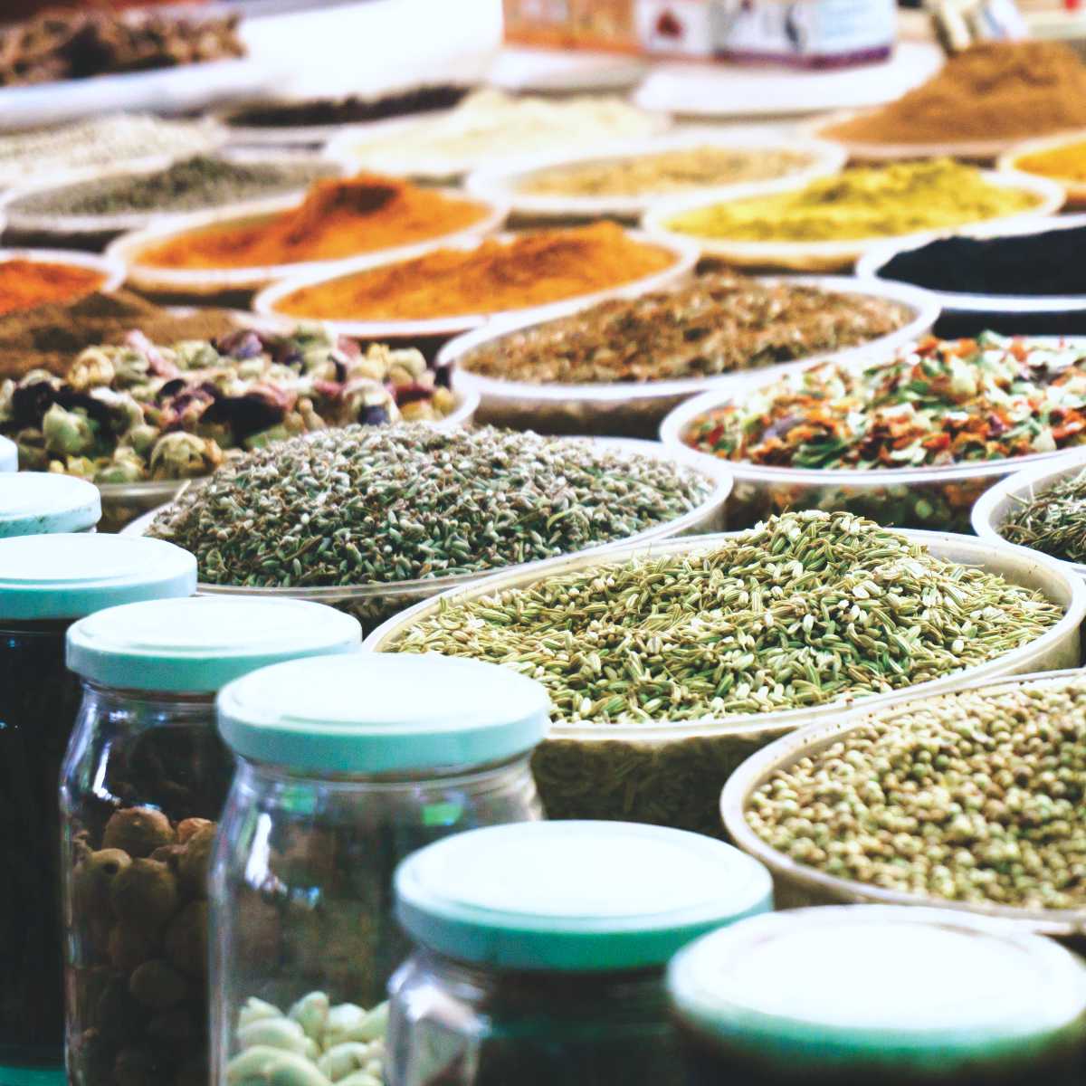 Formation ayurvédique : Materia medica du thérapeute